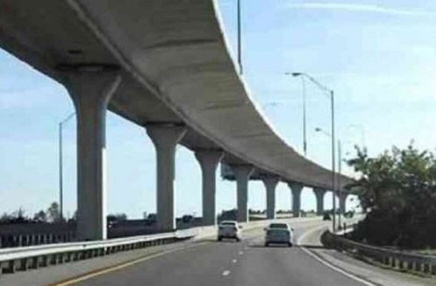Anti Carbonate Paint : Mithapur-Mahuli elevated road project